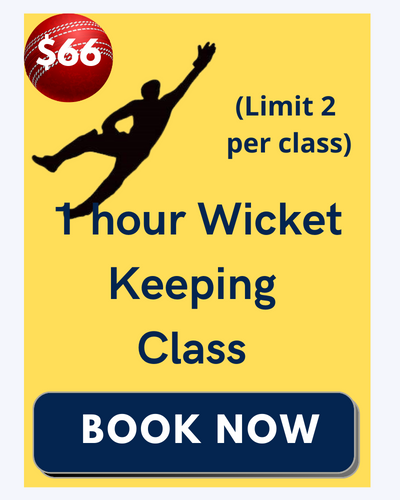 Wicket Keeping Classes Back On!